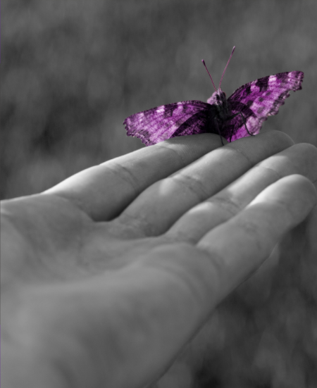 Hand With Butterfly