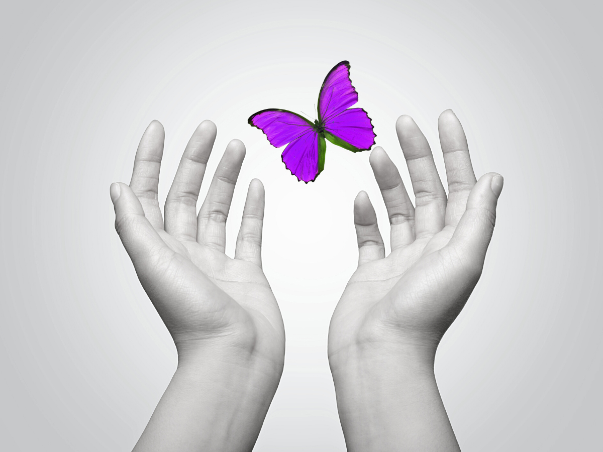 Outreach Program image. Open hands with a purple butterfly flying between the hands.