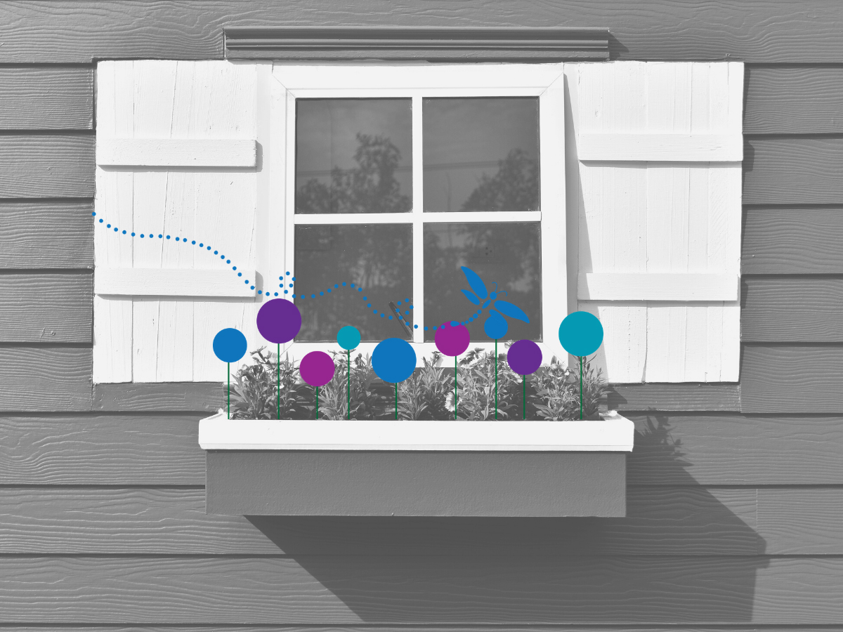 Shelter Services Photo. Image of a window with open shutters and flowers blooming in the flower bed.